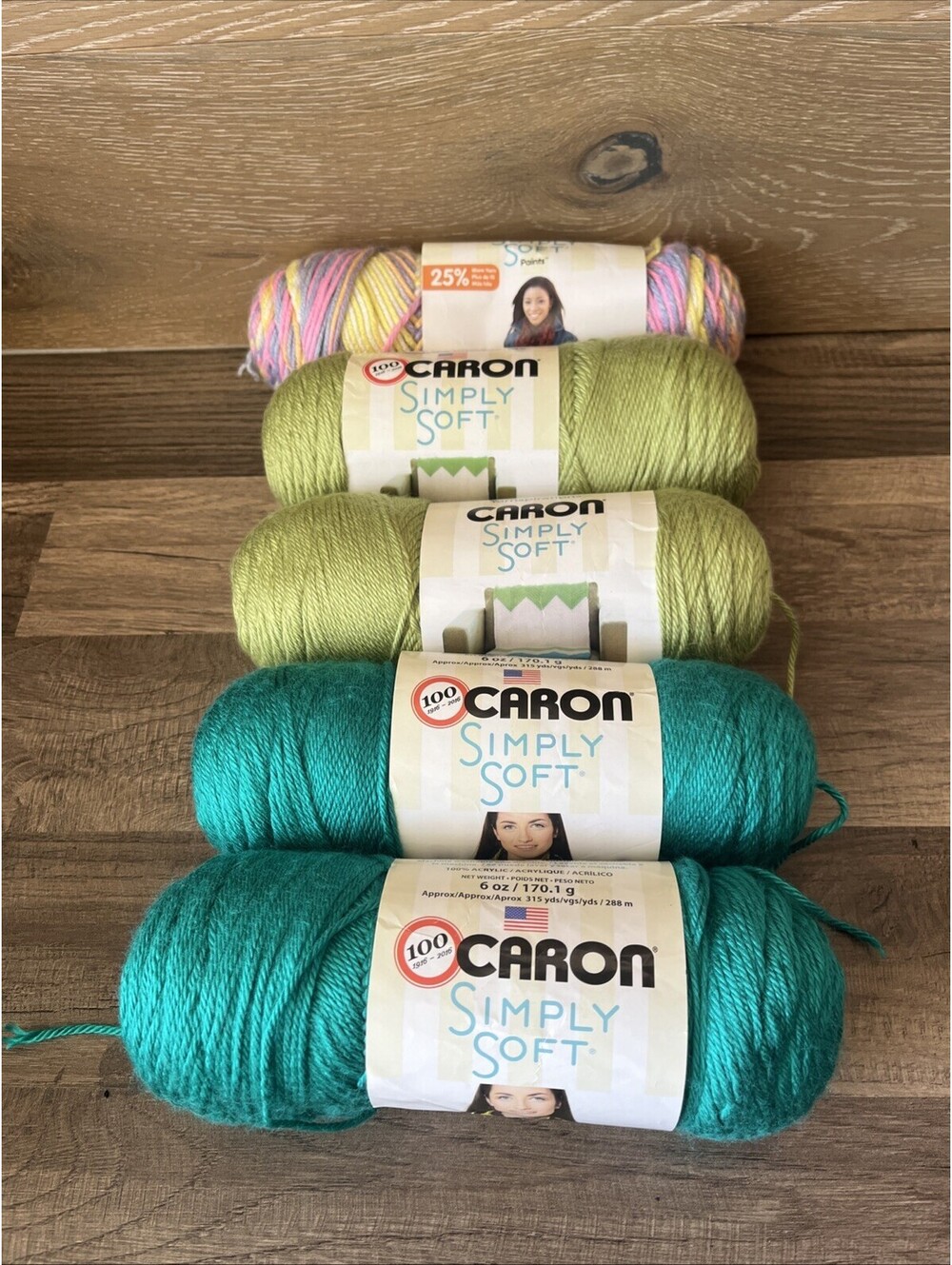 Caron Simply Soft Yarn 5 Skeins Green Turquoise Multi Pastel